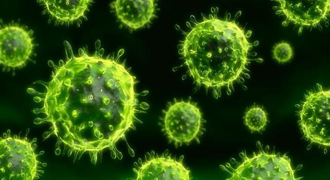 Informativo: Condilomas e HPV