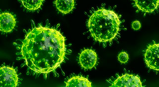 Informativo: Condilomas e HPV