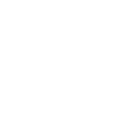 big-logo