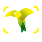 big-logo