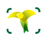 preloader