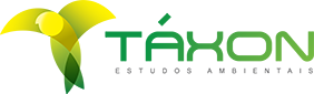 big-logo